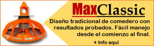 303x93tip-303x93tip-maxclassic-web-banner-sp