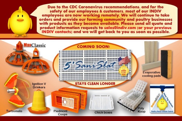 630x480not-banner-covid-19-eng