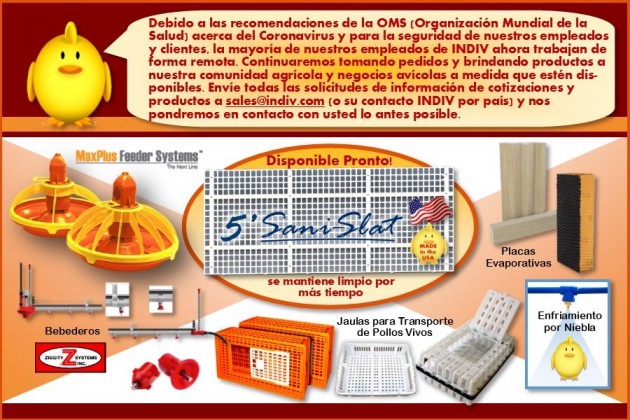 630x480not-banner-covid-19-sp
