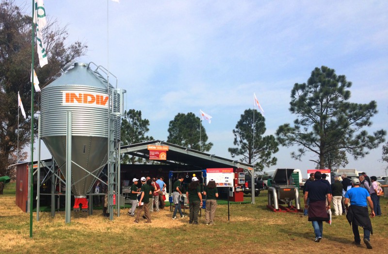 800x600not-fericerdo2017-1