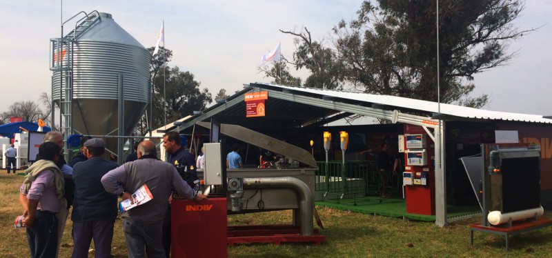 800x600not-fericerdo2017-3