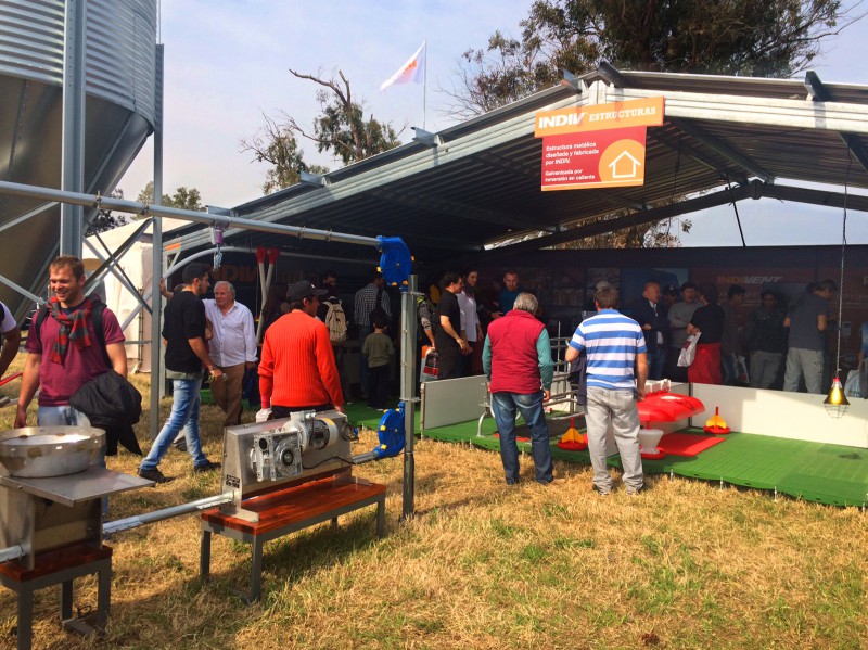 800x600not-fericerdo2017-4