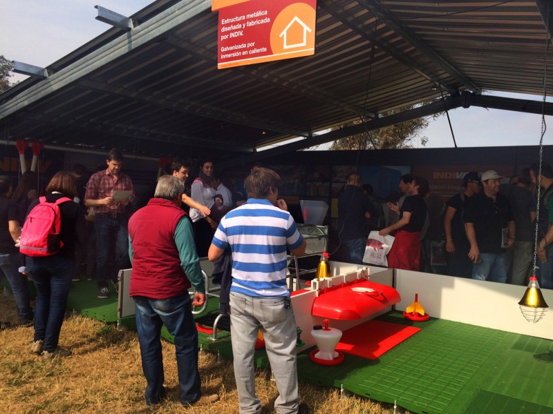 800x600not-fericerdo2017-5