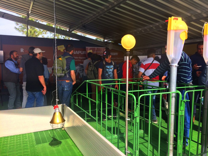 800x600not-fericerdo2017-6