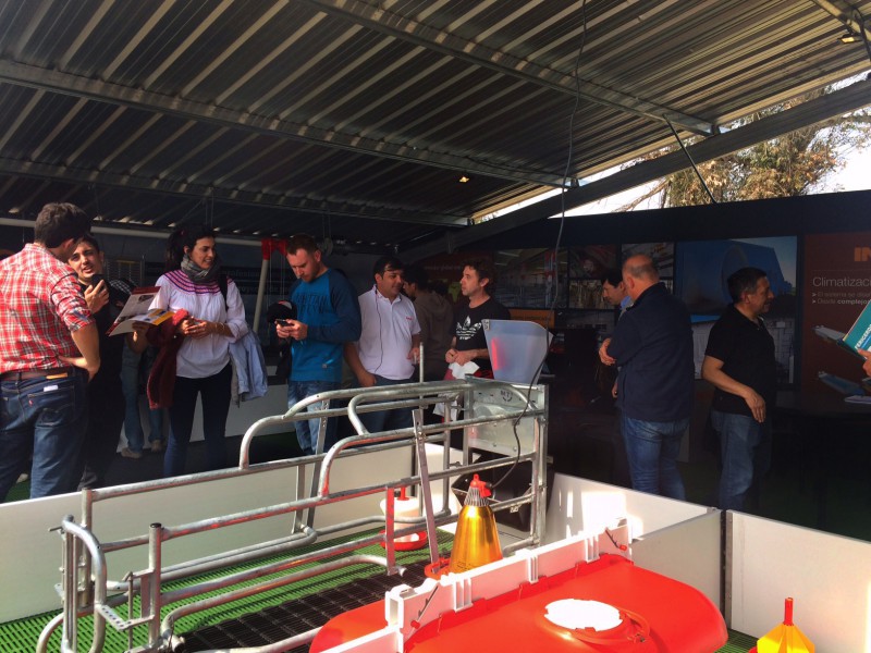 800x600not-fericerdo2017-7