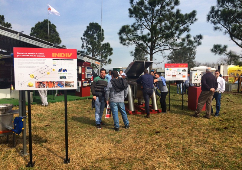 800x600not-fericerdo2017-9