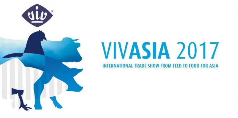 800x600not-vivasia-2-1